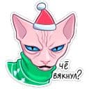 Стикеры Нарядный Рамзес в Telegram