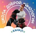 Канал 𝕊𝕙𝕂𝕆𝕃𝔸 𝔻𝕆𝔹ℝ𝕆𝕐 𝕂𝕀ℕ𝕆𝕃𝕆𝔾𝕀𝕀 в Telegram