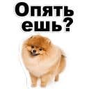 Стикеры Щенки в Telegram