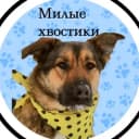 Канал Приют Некрасовка 5 сектор в Telegram