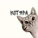 Канал КОТЯРА😸 в Telegram