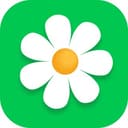 Канал Flor2U - доставка цветов по России в Telegram