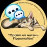 Telegram-группа 💬 ЧАТ БФ "Право на жизнь. Поронайск"