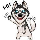 Стикеры Хаск в Telegram