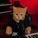 Канал Данила Кашен в Telegram