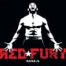 Telegram-канал REDFURYMMA