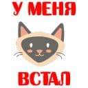 Стикеры Кошкостикеры в Telegram