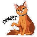 Стикеры Бенгал и Сомали в Telegram