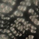 Канал Liminal Spaces в Telegram