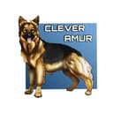 Канал CLEVER_AMUR в Telegram