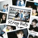 Канал Stray Kids в Telegram