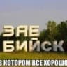 Telegram-канал в Бийске любят