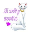 Стикеры Коты-аристократы в Telegram
