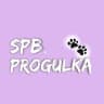 Telegram-канал SPBPROGULKA