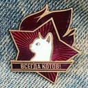 Канал Клуб Анонимных Котоголиков в Telegram