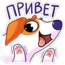Стикеры Пёсик Берт в Telegram