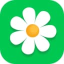 Канал Flor2U - доставка цветов по России в Telegram