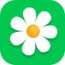Telegram-канал Flor2U - доставка цветов по России
