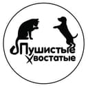 Канал "Пушистые-Хвостатые" - ЛАПКИ 🐾 ДОБРА ❤️ LIVE в Telegram