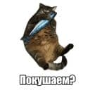 Стикеры Мысли котов в Telegram