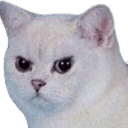 Стикеры доггос в Telegram