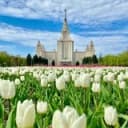 Канал Моя Москва в Telegram