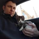 Канал ЖИЗНЬ КОТА БЕЗ ЛАП в Telegram