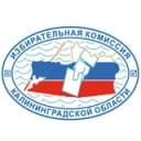 Канал Калининград_Избирком в Telegram
