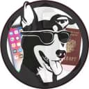 Канал Потеряшки_Уссурийск в Telegram
