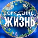 Канал Сорадение Жизнь в Telegram