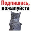 Стикеры Подпишись, пожалуйста в Telegram