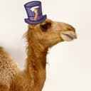 Канал Челябушка в Telegram