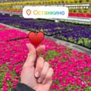 Канал Цветы Останкино в Telegram