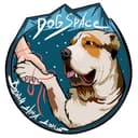 Канал Dogspace.moscow в Telegram