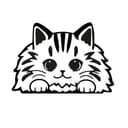 Канал LMpets - дом кошачьего счастья 😻 Здесь находят друг друга 💞 в Telegram