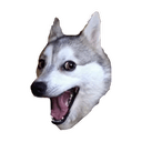 Стикеры Больные собаки в Telegram