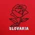 Группа Slovakia Словакия Словаччина + Братислава в Telegram