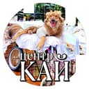 Канал Центр «КАЙ» 🐾🦽 в Telegram