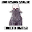 Стикеры Злойпак в Telegram