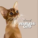 Канал бесстрашные котикиᶜʰᵃᶰᶰᵉᶫ🐈‍⬛️ в Telegram