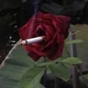 Канал cursed images 🥀 в Telegram