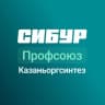 Telegram-канал Профсоюз Казаньоргсинтез