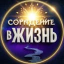 Канал Сорадение Жизнь в Telegram