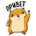 Стикеры Хомяк Сеня в Telegram