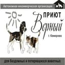 Канал Приют для бездомных животных в Telegram