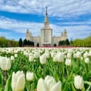 Канал Моя Москва в Telegram