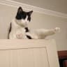 Telegram-канал Анекдоты на мой вкус