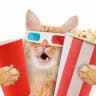 Telegram-канал ФИЛЬМЫ 2023 НОВИНКИ🍿