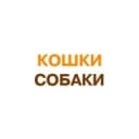 Канал Кошки-собаки Красноярска. 2999999. в Telegram