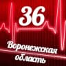 Telegram-канал Мониторинг 36 Воронежская область